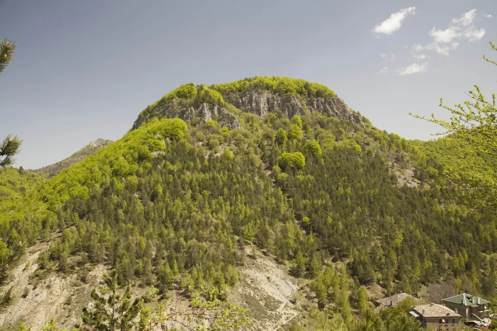 Dardhe, Albania