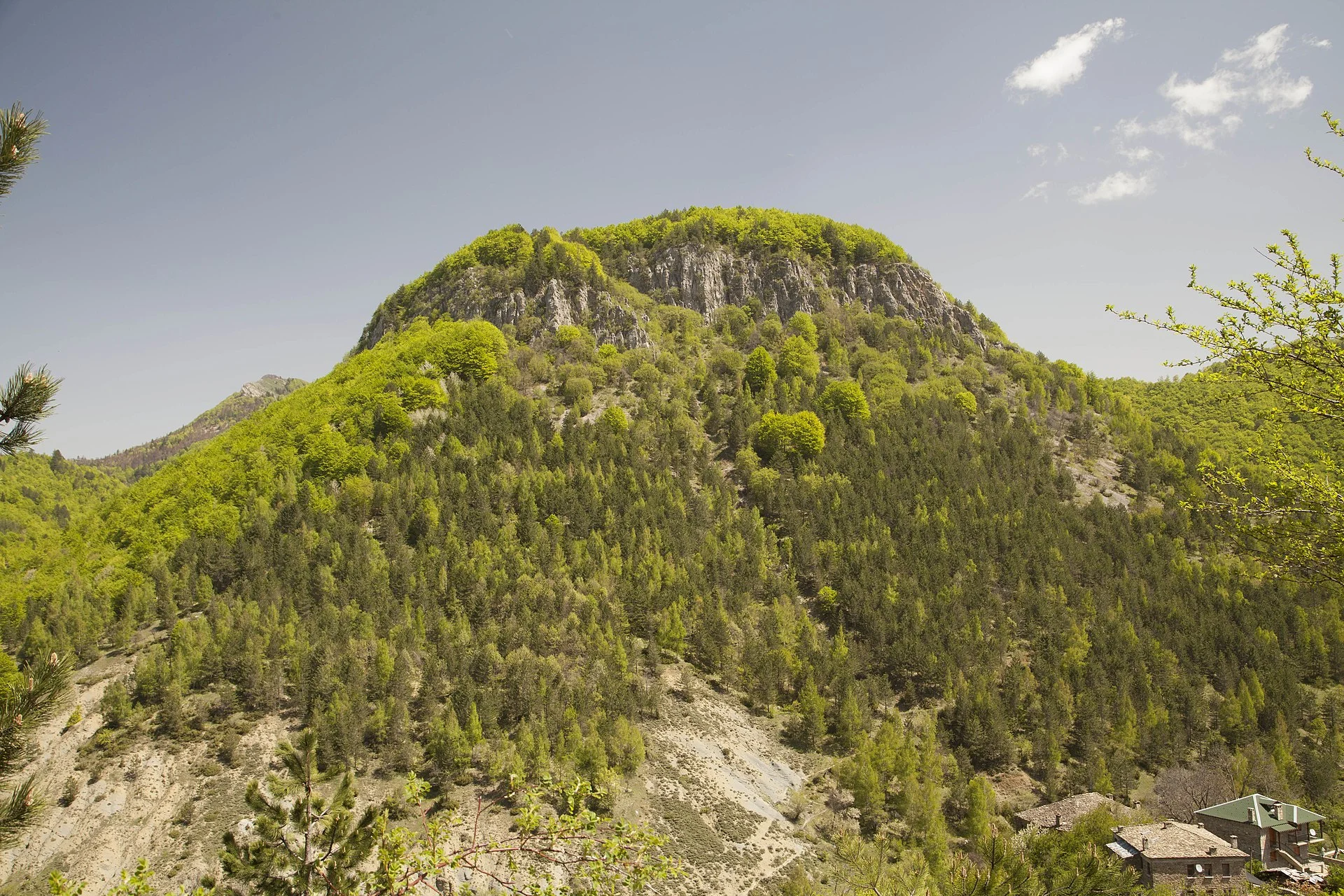 Dardhe, Albania