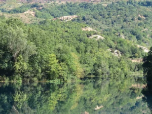 Syri i Kalter, Albania
