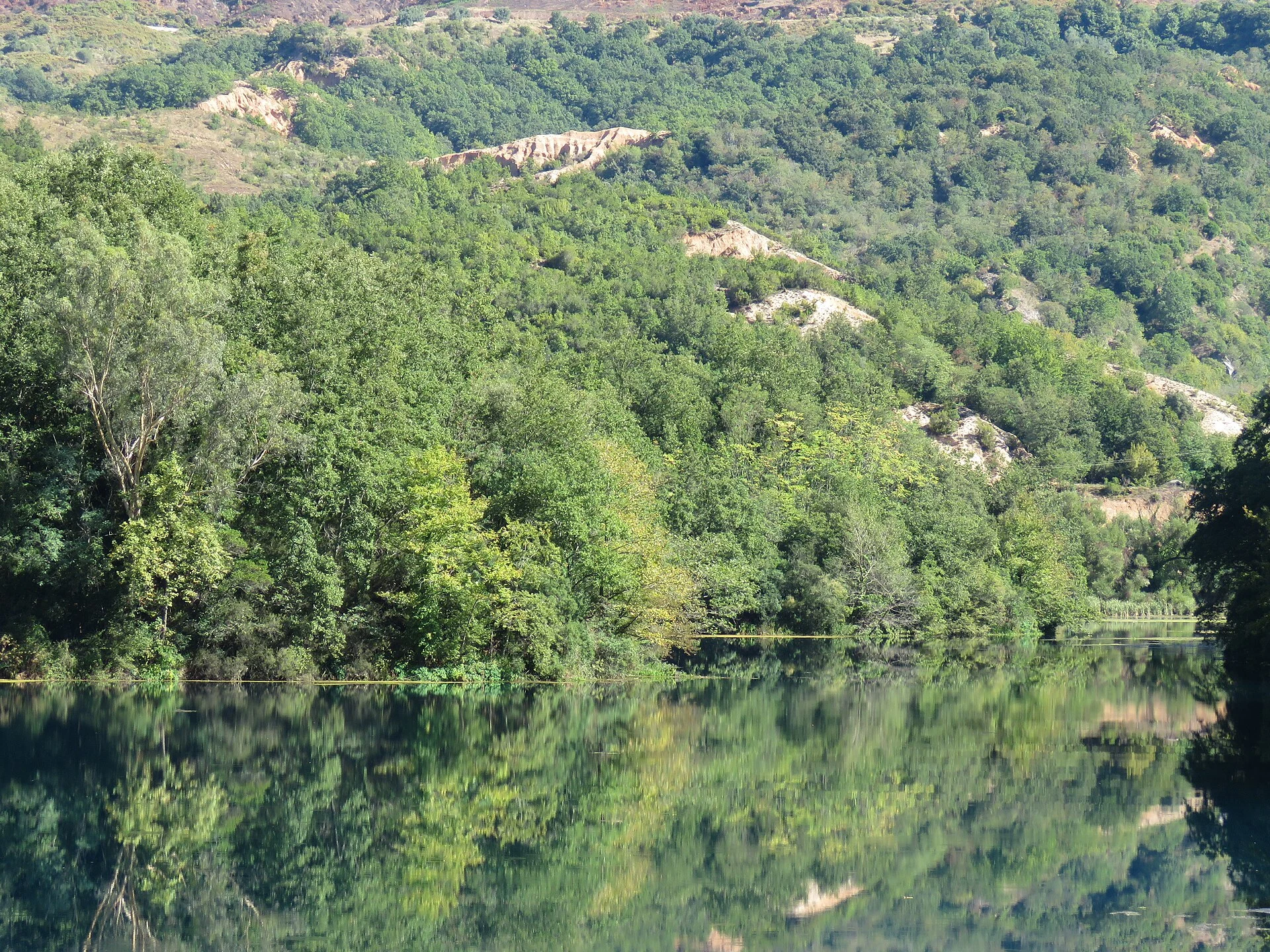 Syri i Kalter, Albania