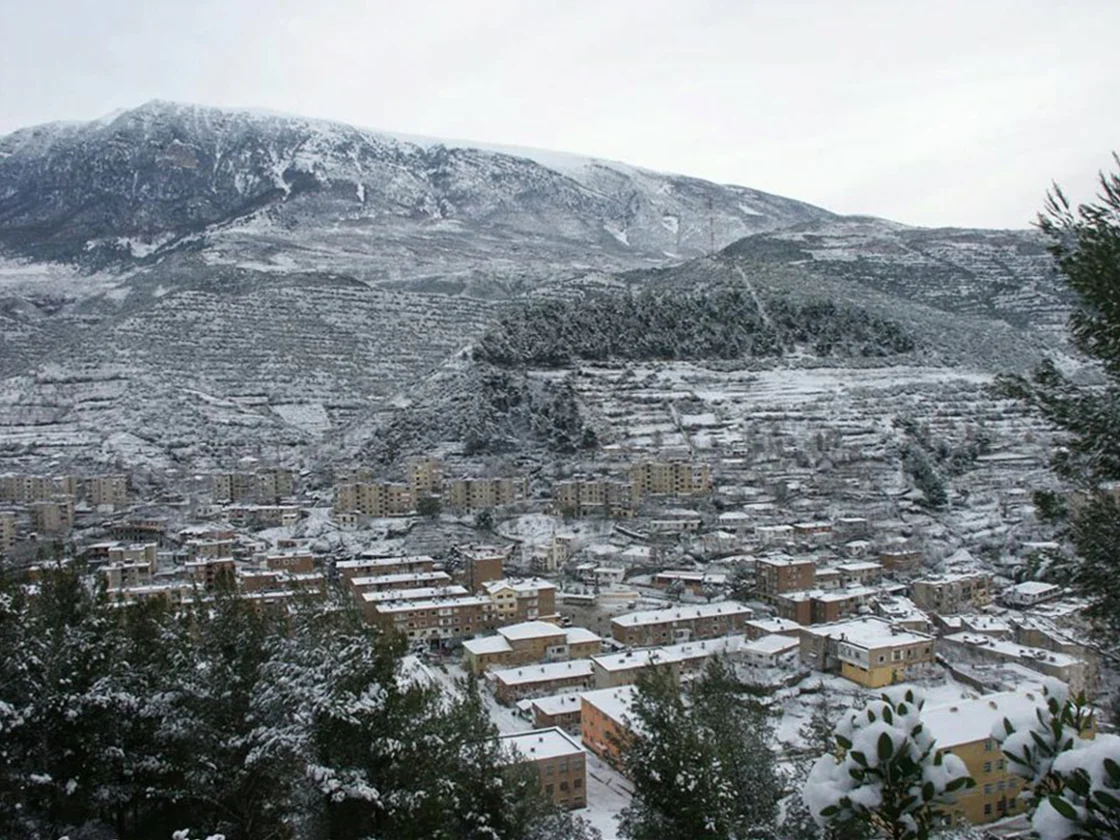 Polican, Albania