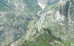 Tamare, Albania