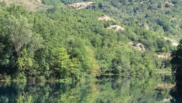 Syri i Kalter, Albania