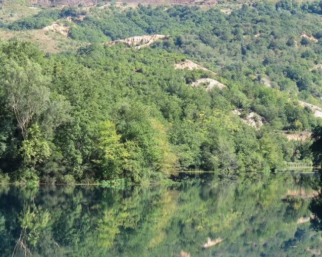 Syri i Kalter, Albania