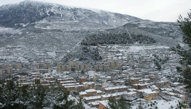 Polican, Albania