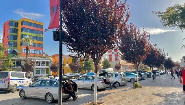 Tree-lined city street in Fier, Albania